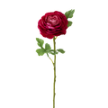 Real Touch Ranunculus Stem - 2 Colors