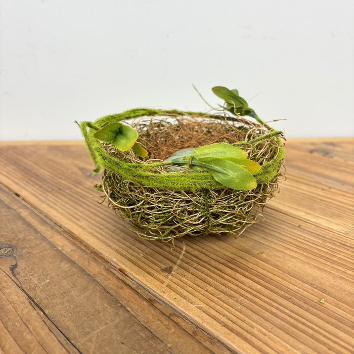 Robin's Egg Nest
