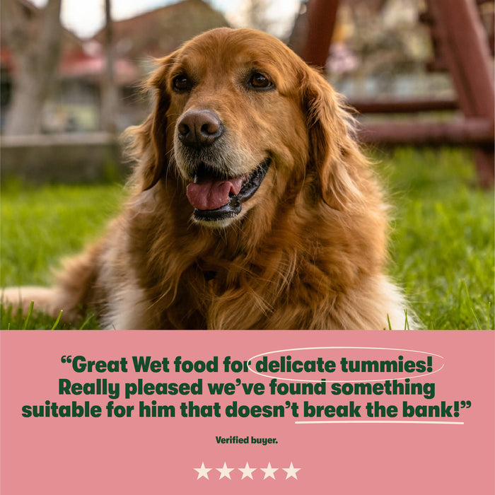 Salmon with Potato & Vegetables Grain Free Wet Dog Food 8 x 400g