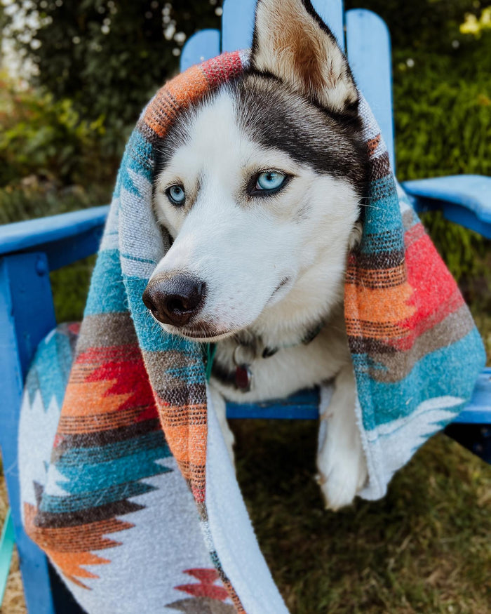 Sherpa Pet Blanket