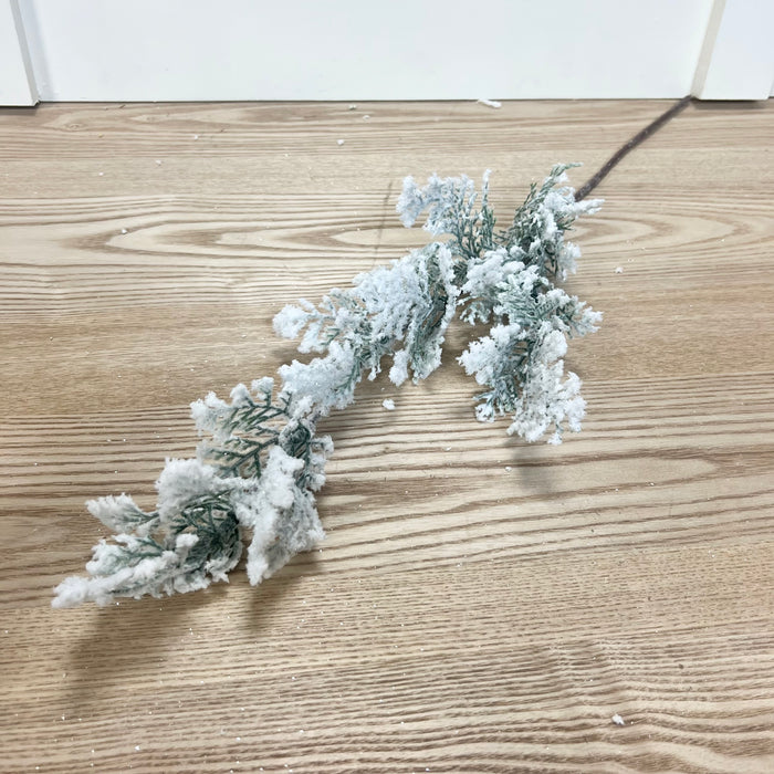 Snowy Cedar Stem