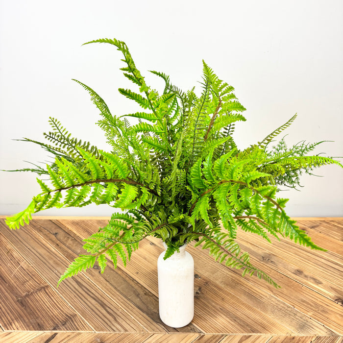 Soft Touch Mixed Fern Bush