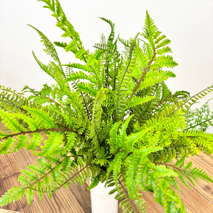 Soft Touch Mixed Fern Bush
