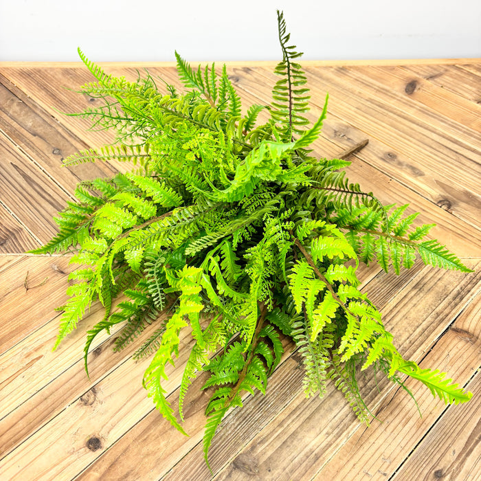 Soft Touch Mixed Fern Bush