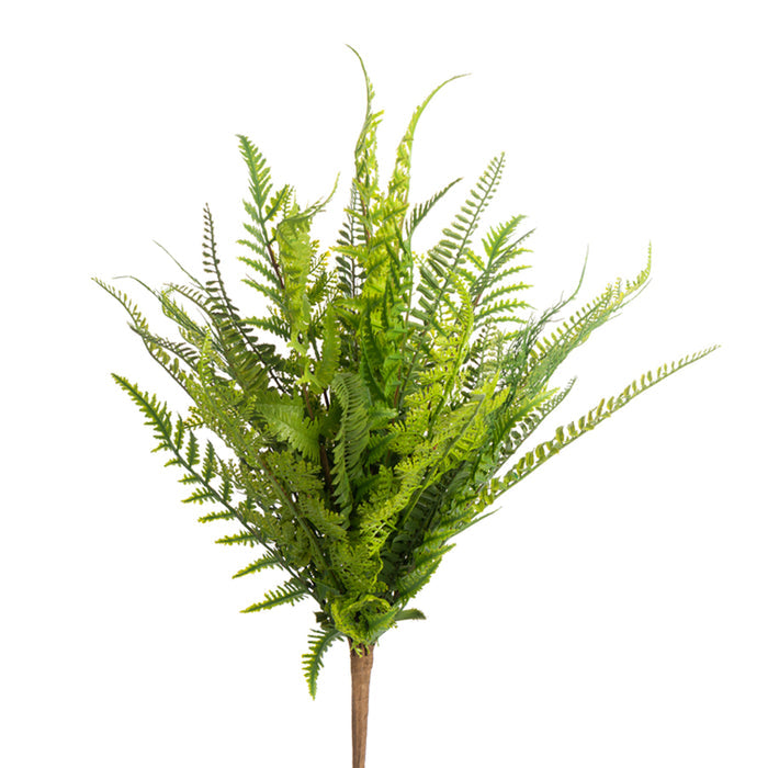 Soft Touch Mixed Fern Bush