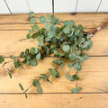 Sparkly Eucalyptus Tall Stem Bundle