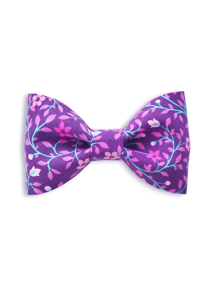 Bow Tie / Flora Maze