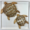 Swirling Sea Turtle Set