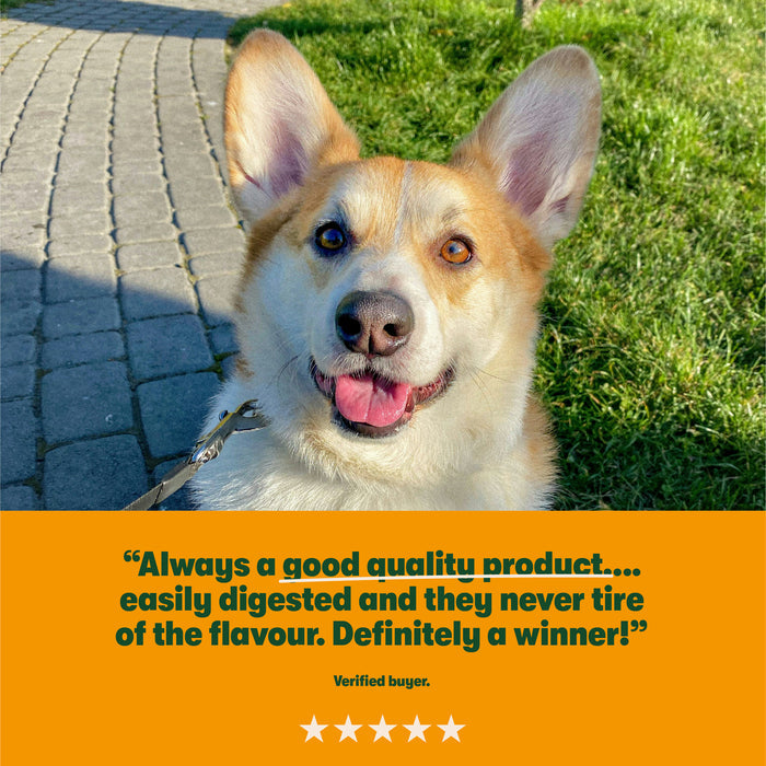 Turkey with Potato & Vegetables Grain Free Wet Dog Food 8 x 400g