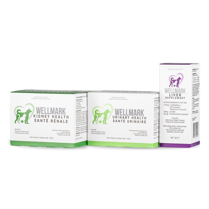 Wellmark Nutraceuticals- Kidney Supplement -100g *CLEARANCE*